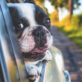 Can auto insurance be backdated?