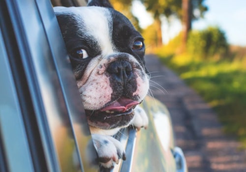 Can auto insurance be backdated?