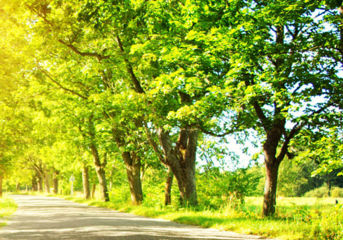 How to understand auto insurance coverage?